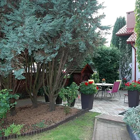 Renesans Władysławowo