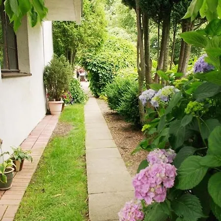 Renesans Władysławowo