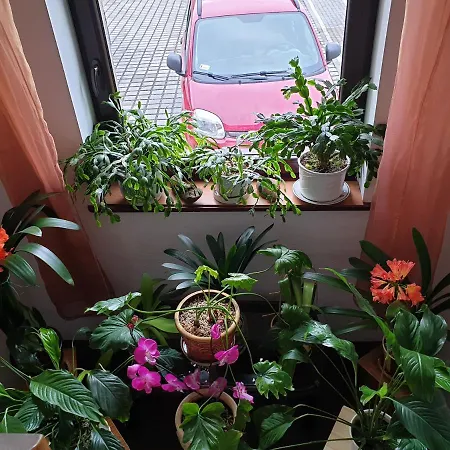 Pensjonat Renesans *